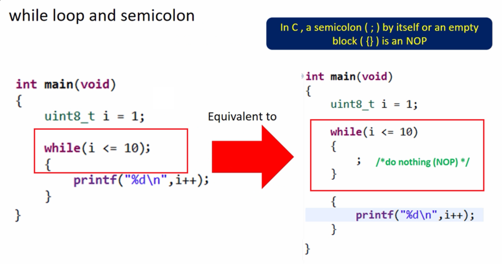 C While Loop