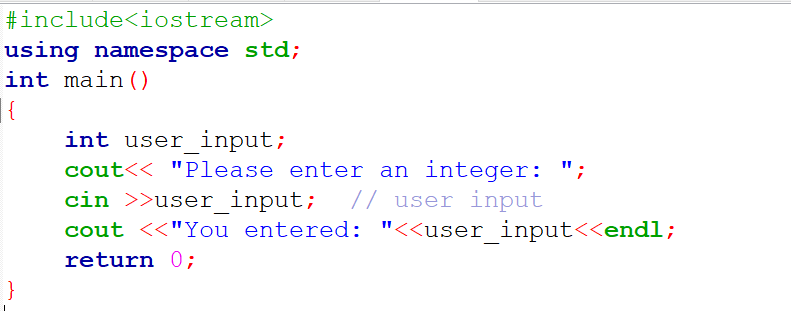 C++ User Input