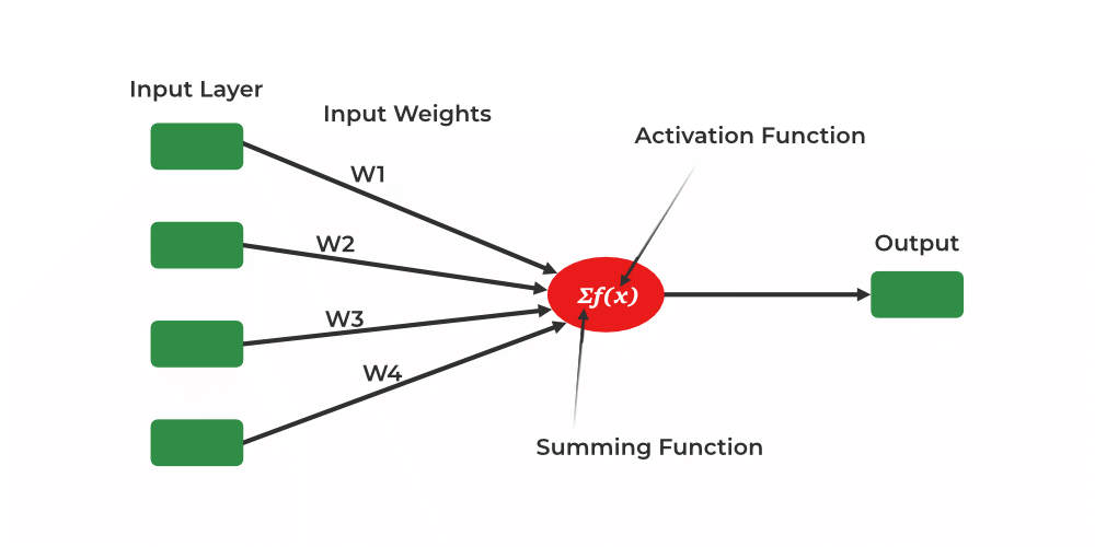 ML Perceptrons