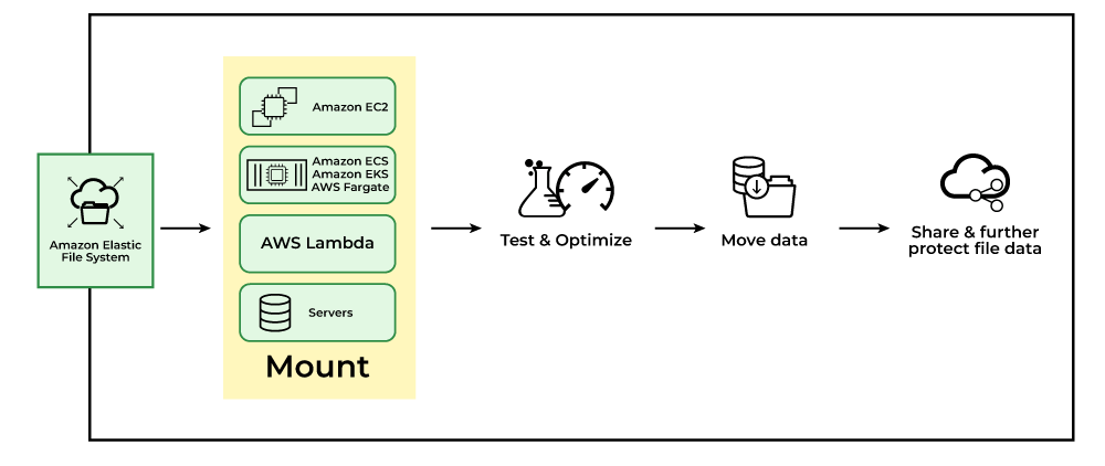 AWS Elastic File System